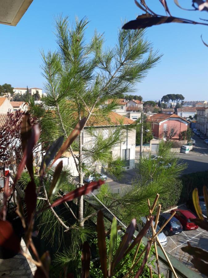 Chambre D'Hote Zen Chez Philippe Marsiglia Esterno foto
